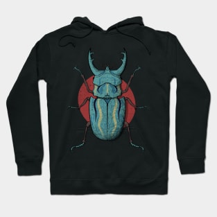 Coleoptera insect illustration 3 Hoodie